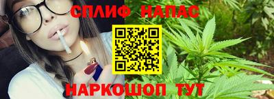 гашик Краснодар