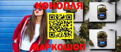 гашик Краснодар