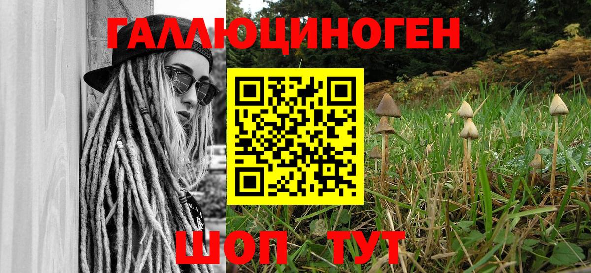 Галлюциногенные грибы GOLDEN TEACHER  Вход с VPN  где купить наркотик  Кисловодск 